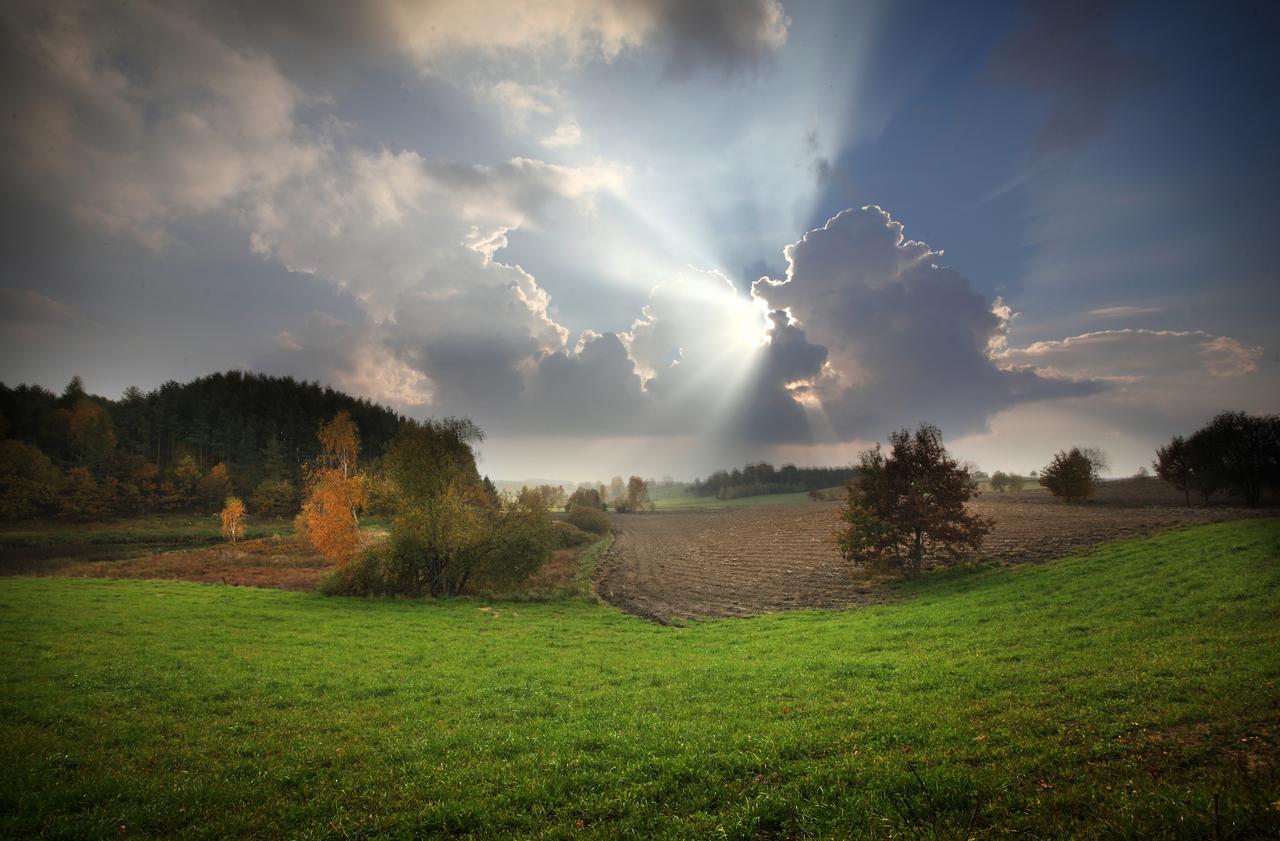 Palac I Folwark Nemino Sierakowice  Bagian luar foto
